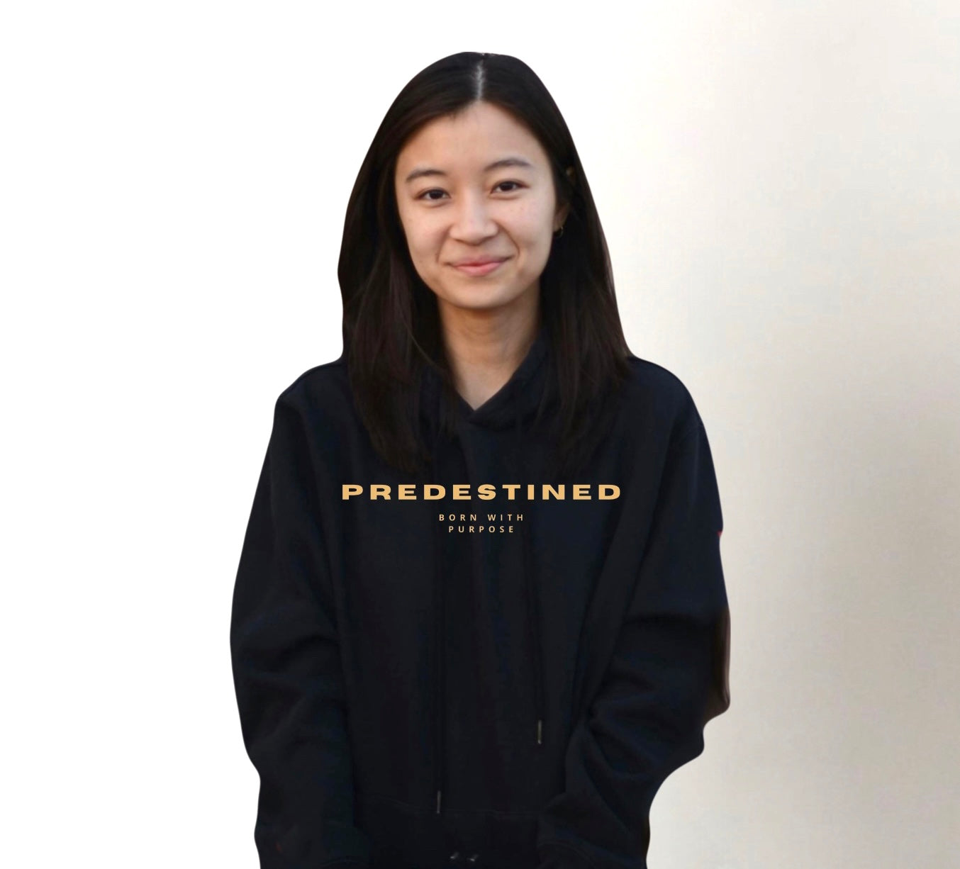 Predestined Original Hoodie